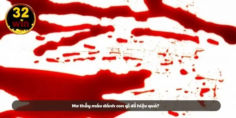 Mơ thấy máu đánh con gì để hiệu quả?