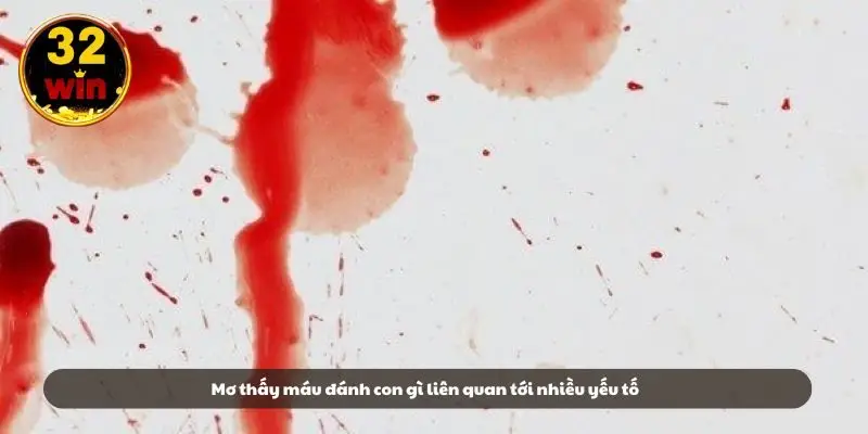 Mơ thấy máu đánh con gì liên quan tới nhiều yếu tố