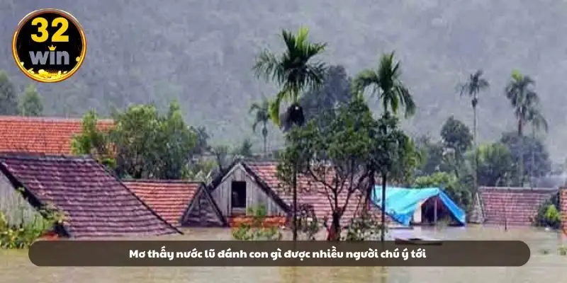 Mơ thấy nước lũ đánh con gì được nhiều người chú ý tới