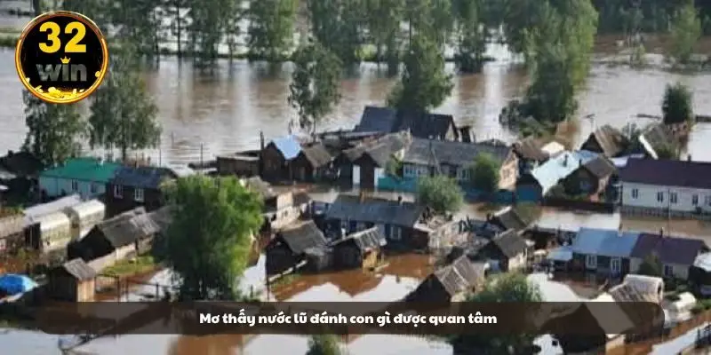 Mơ thấy nước lũ đánh con gì được quan tâm
