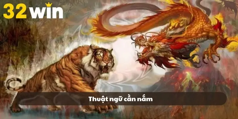 Những thuật ngữ căn bản đơn giản cho người mới Những thuật ngữ căn bản đơn giản cho người mới