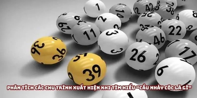 Phân tích các chu trình xuất hiện khi tìm hiểu “Cầu nhảy cóc là gì”