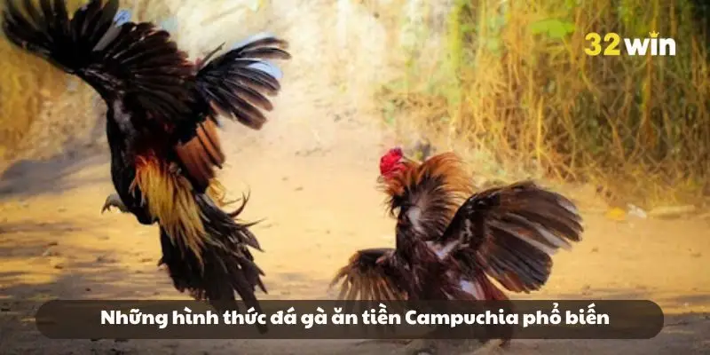 Những hình thức đá gà ăn tiền Campuchia phổ biến Những hình thức đá gà ăn tiền Campuchia phổ biến