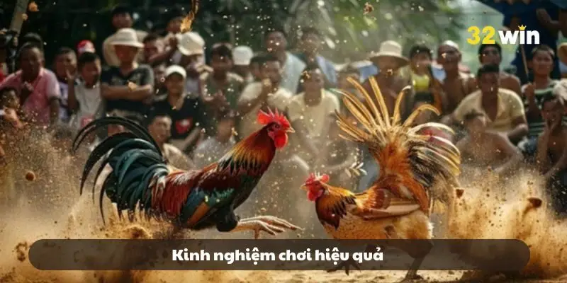 Kinh nghiệm chơi hiệu quả Kinh nghiệm chơi hiệu quả