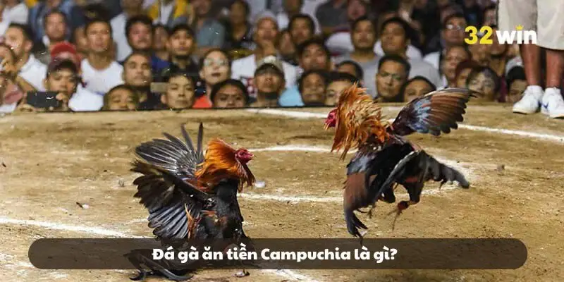Đá gà ăn tiền Campuchia là gì? Đá gà ăn tiền Campuchia là gì?