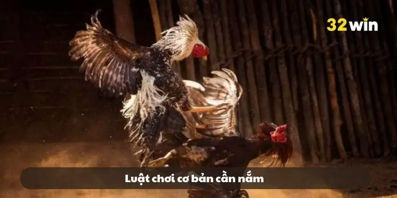 Luật chơi cơ bản cần nắm Luật chơi cơ bản cần nắm
