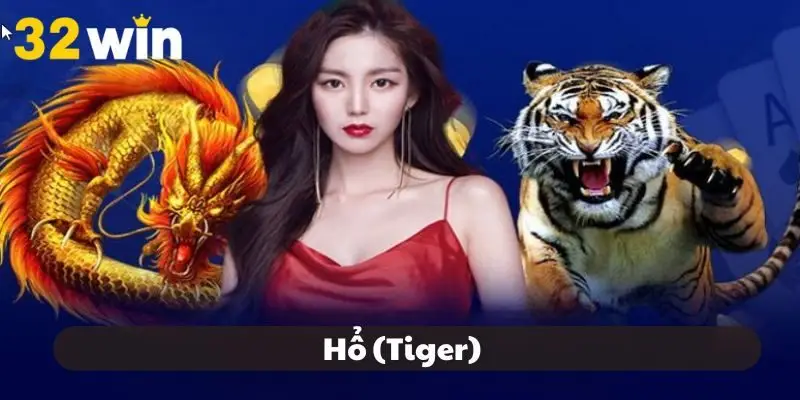 Đây là cửa được nhiều thành viên yêu thích, đối kháng mạnh Đây là cửa được nhiều thành viên yêu thích, đối kháng mạnh